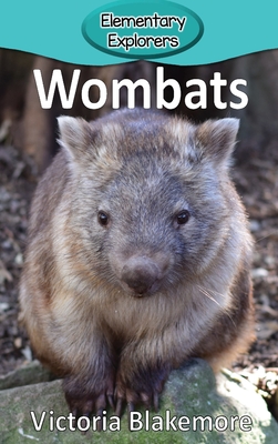 Wombats - Blakemore, Victoria