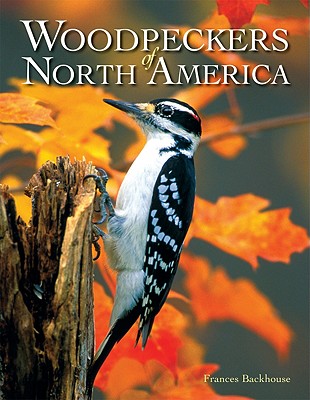 Woodpeckers of North America - Backhouse, Frances