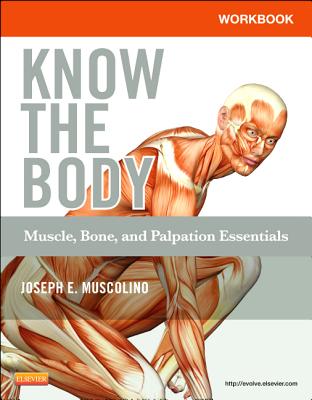 Workbook for Know the Body: Muscle, Bone, and Palpation Essentials - Muscolino, Joseph E, Dr., DC