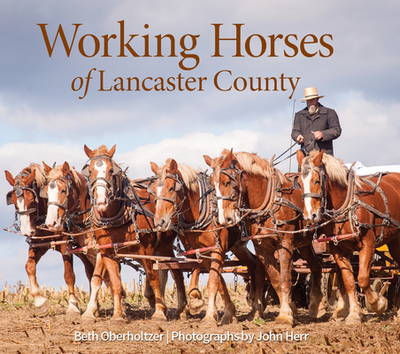 Working Horses of Lancaster County - Oberholtzer, Beth, and Herr, John (Photographer)