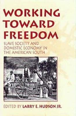 Working Toward Freedom: Slave Society and Domestic Economy in the American South - Hudson Jr, Larry E (Editor)