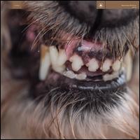 World Eater - Blanck Mass