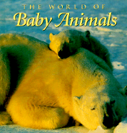 World of Baby Animals