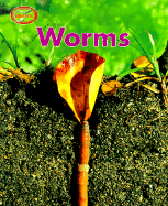 Worms