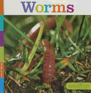 Worms