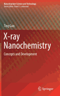 X-Ray Nanochemistry: Concepts and Development