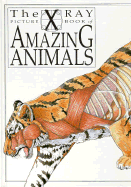 X Ray Picture Book of Amazing Animals