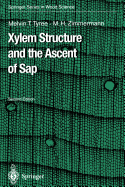 Xylem Structure and the Ascent of Sap