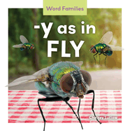 -Y as in Fly