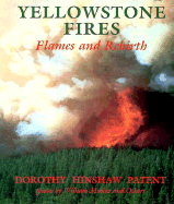 Yellowstone Fires: Flames and Rebirth