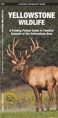 Yellowstone Wildlife: An Introduction to Familiar Species of Yellowstone Area - Kavanagh, James