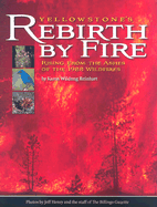 Yellowstone's Rebirth by Fire: Rising from the Ashes of the 1988 Wildfires - Reinhart, Karen Wildung, and Henry, Jeff (Photographer)