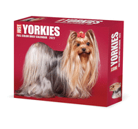 Yorkies 2022 Box Calendar-Dog Breed Daily Desktop