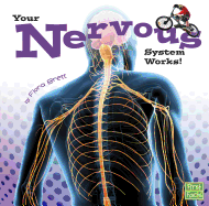 Your Body Systems Your Nervous System Works