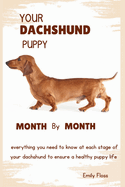 Your Dachshund Puppy Month by Month: Everything you need to know at each stage to ensure a playful and healthy puppy