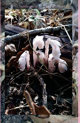 Your Notebook! Indian Pipes - Hirose, Mary