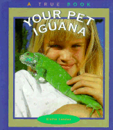 Your Pet Iguana