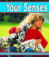 Your Senses