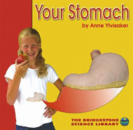 Your Stomach - Ylvisaker, Anne