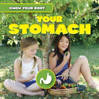Your Stomach - Fittleworth, George