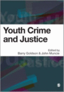 Youth Crime and Justice