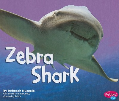 Zebra Shark - Nuzzolo, Deborah