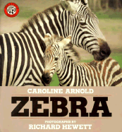 Zebra - Arnold, Caroline