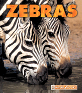 Zebras - Markert, Jenny