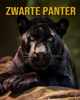 Zwarte Panter: Fenomenale Foto's en Fascinerende Leuke Feiten - Raven, Celeste